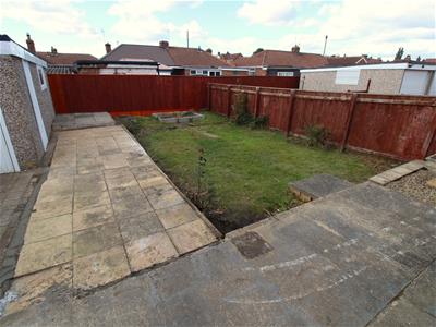 Picture 11